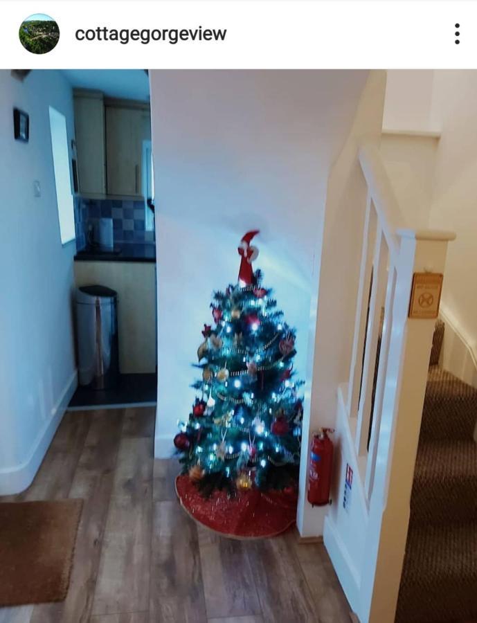 Gorgeview Cottage Ironbridge Bagian luar foto